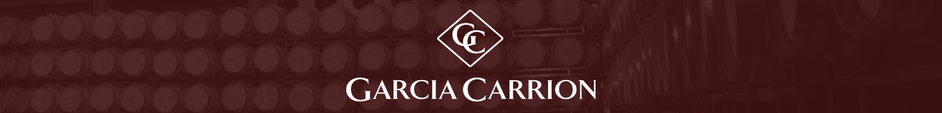 Banner Desktop - 1920x232