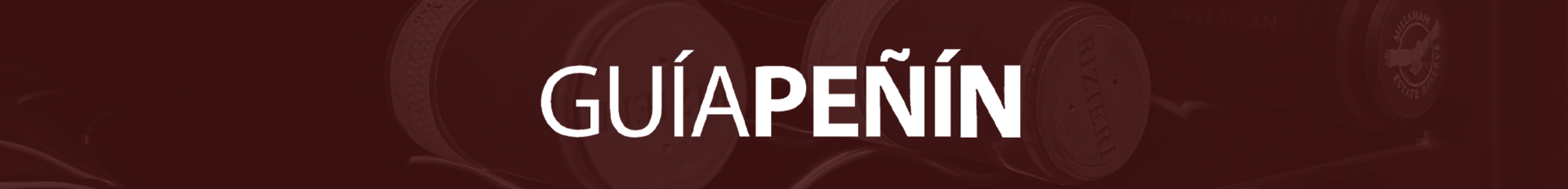 Banner Desktop - 1920x232